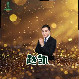 赵凯